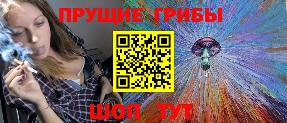 Псилоцибиновые грибы Psilocybe  Вход с VPN  Выкса 